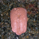 Image for article titled Sexual Chocolate: Testing The Clone-A-Willy Kit
